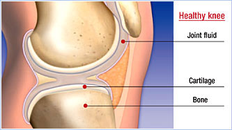 healthyknee